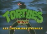 Tortues Ninja - image 1
