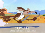 Bip Bip et Vil Coyote - image 2