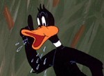 Daffy Duck - image 2