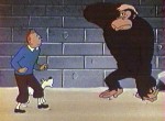 Les Aventures de Tintin, d'après Hergé - image 4