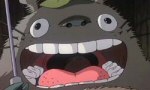 Mon Voisin Totoro - image 7