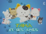 Tama et ses Amis