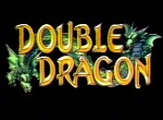 Double Dragon - image 1