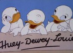 Donald Duck - image 7