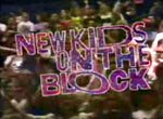 New Kids on the Block - image 1