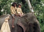 Elephant Boy - image 6