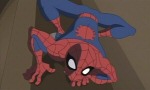 Spectacular Spider-Man - image 2