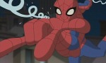 Spectacular Spider-Man - image 9