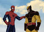Ultimate Spider-Man - image 11