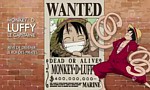 One Piece - Episode de Luffy - image 2