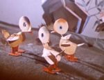 Les Petits Canards Intelligents - image 3