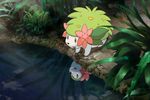 Pokémon : Film 11 - image 2