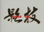 Shadow Skill (OAV) - image 1