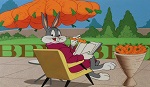 Bugs Bunny, Bip Bip : le film-poursuite - image 2