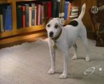 Wishbone, quel cabot ! - image 3