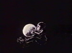 Le Petit Garçon qui Vola la Lune - image 4
