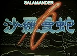 Salamander - image 1