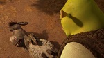 Shrek 4 : Il était une fin - image 8