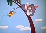 Tom et Jerry (1961-1962) - image 8