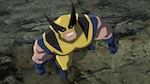 Hulk vs Wolverine - image 8