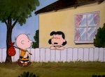Peanuts - Classics - image 5