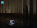 Genty Pierrot - image 26