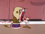 Cool Cat - image 7